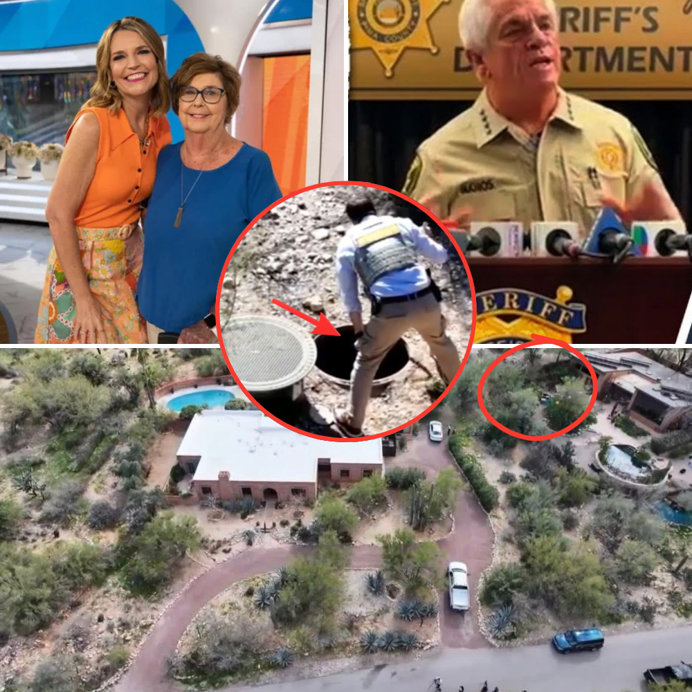 During a search of the septic tank behind Nancy Guthrie’s house, they found a 12cm specimen believed to be…