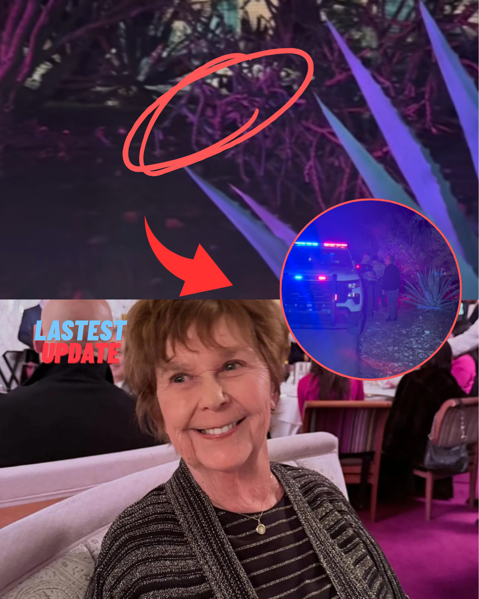 LIVE NOW – JUST 27 MILES: How Tommaso Cioni’s SUV GPS Led FBI Straight to the Body — As ‘Secret’ Rooftop Video Finally Links Son-In-Law to the Disposal Site!