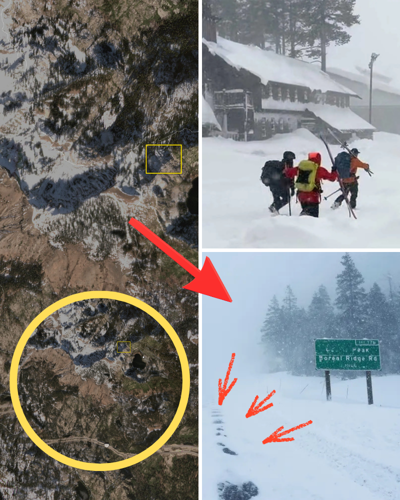 Tahoe National Forest banned all visitors to the area after a deadly avalanche to prioritize rescue efforts. The results were clear after just three days: FULL REPORT