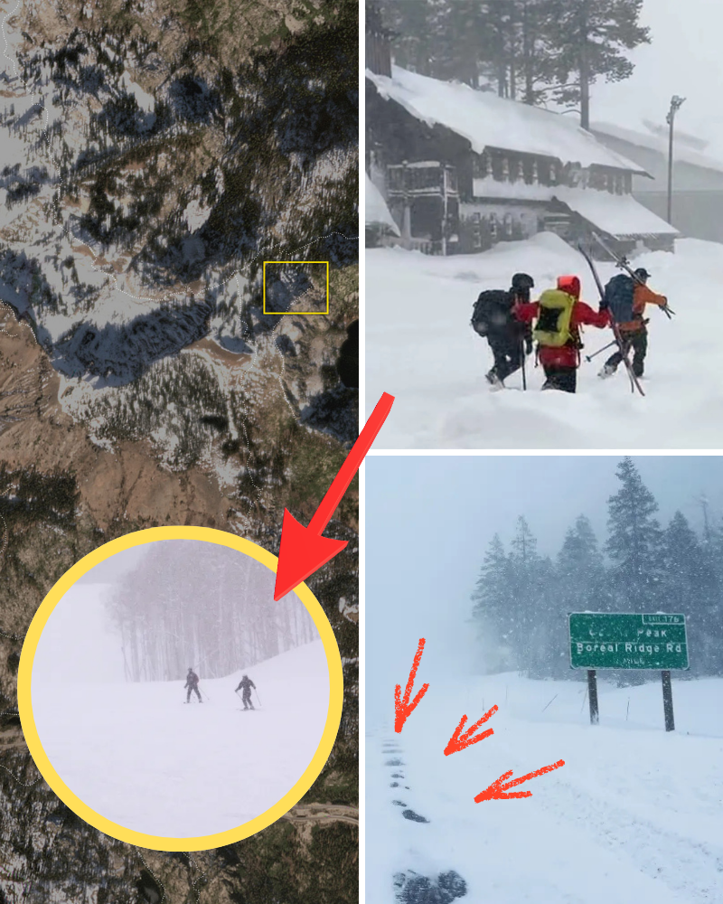 Avalanche survivors speak out about the tragedy at Lake Tahoe…