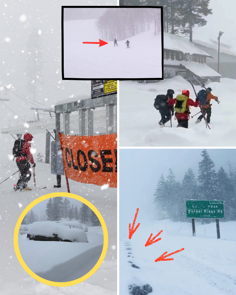 The Lake Tahoe tragedy as told by a guide who was buried in an avalanche. Evidence from 10 years ago of technical errors suddenly rediscovered has completely changed the direction of the investigation into this “accident”….