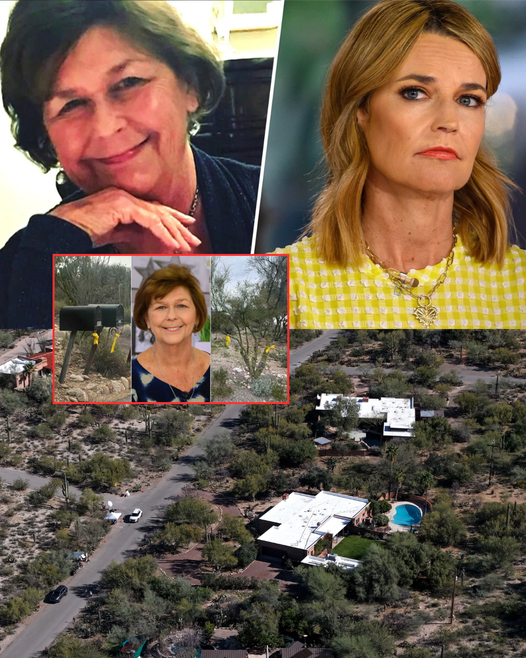 CHILLING DISCLOSURE: Detectives share unsettling details about the amateur suspect in the Nancy Guthrie case as his plot comes to light on day 40