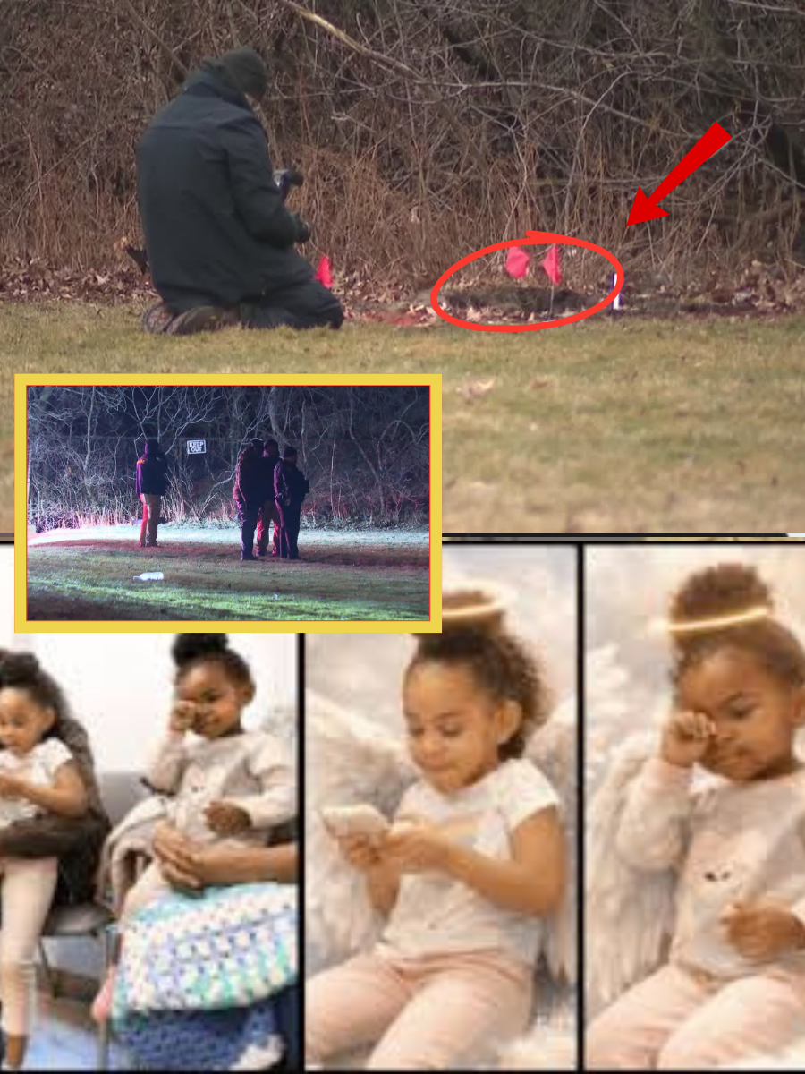 What the Dog Found First: Investigators Describe the Moment a Dog Bit a Suitcase With Two Little Girls Inside — and the Shocking Item That Dropped Out… 👇👇