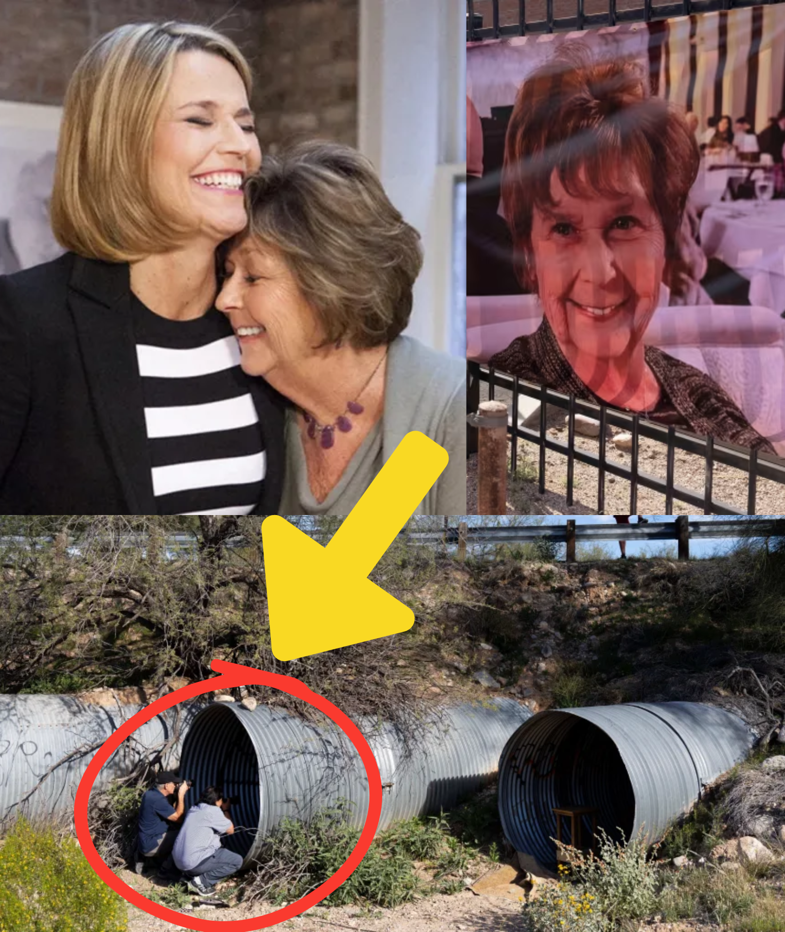 BREAKING — 29 DAYS AFTER Nancy Guthrie WENT MISSING: A Body Has Been Discovered 98 Kilometers West of Her Home, Family Declines to Acknowledge the Findings