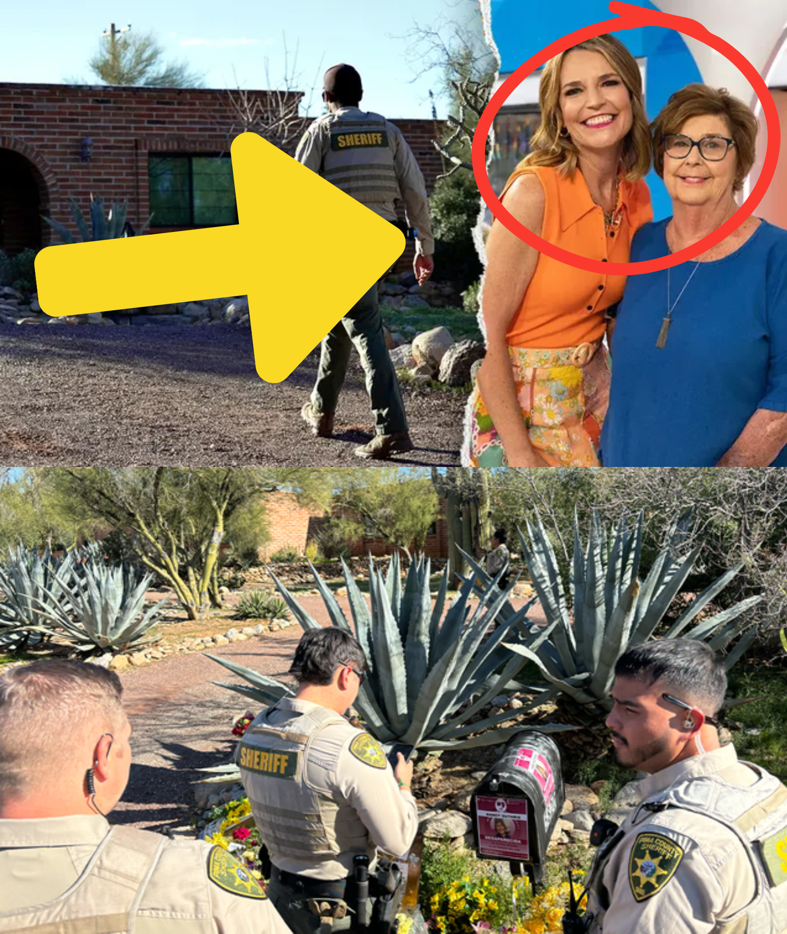 Suspected Kidnapper in Nancy Guthrie Case May Have Returned to the Crime Scene, Leaving New Clues at the Memorial — Her Daughter Receives a 23-Minute Video of the Entire Kidnapping