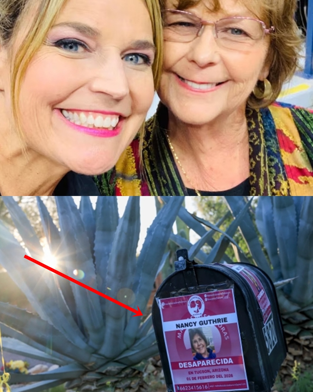 Nancy Guthrie disappearance latest updates: Sheriff believes her home was ‘targeted’ and doesn’t rule out kidnapper could strike again