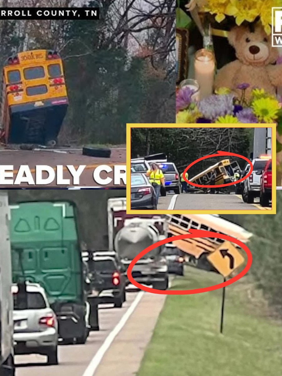 NEW EVIDENCE EMERGES: Police clear negligence in Sabrina Ducksworth crash — but CCTV footage is pointing to a deeper, more unsettling truth about her final moments… 👇👇