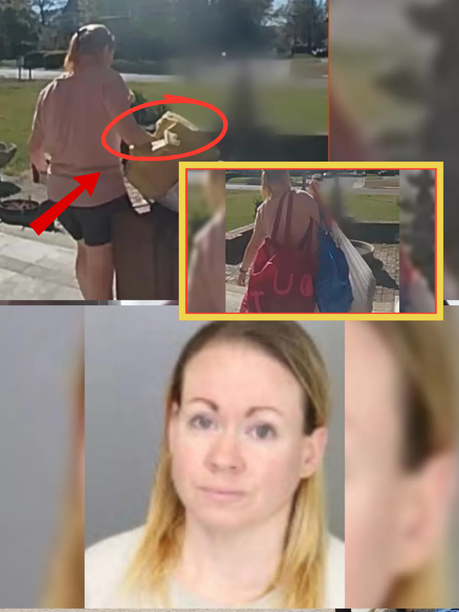 What started as pet care ended in suspicion — 34 bags of items allegedly taken over time in Memphis, exposing how easily trust can be exploited… 👇👇