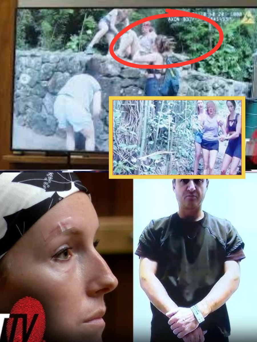 In court testimony, Gerhardt Konig detailed the moment the argument escalated — including why he chose rocks and how the incident unfolded in real time… 👇👇