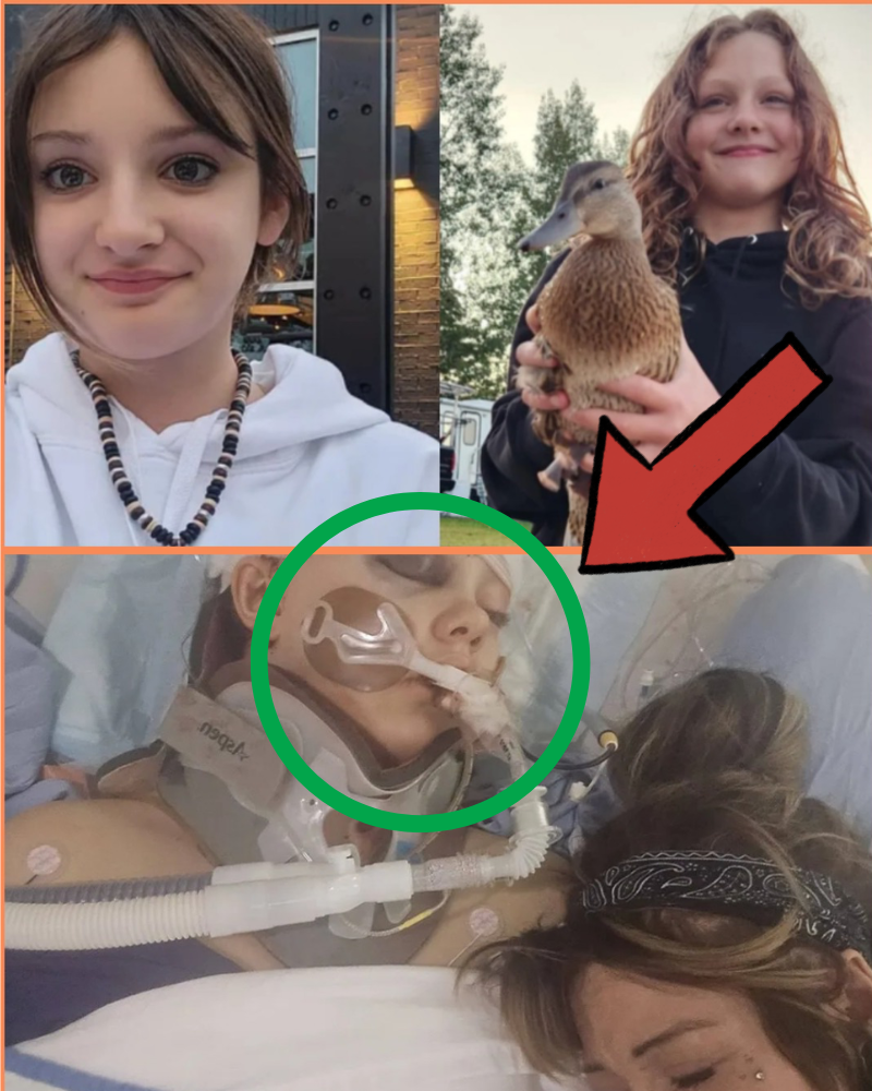 LATEST UPDATE: 12-YEAR-OLD GIRL STILL FIGHTING FOR LIFE…