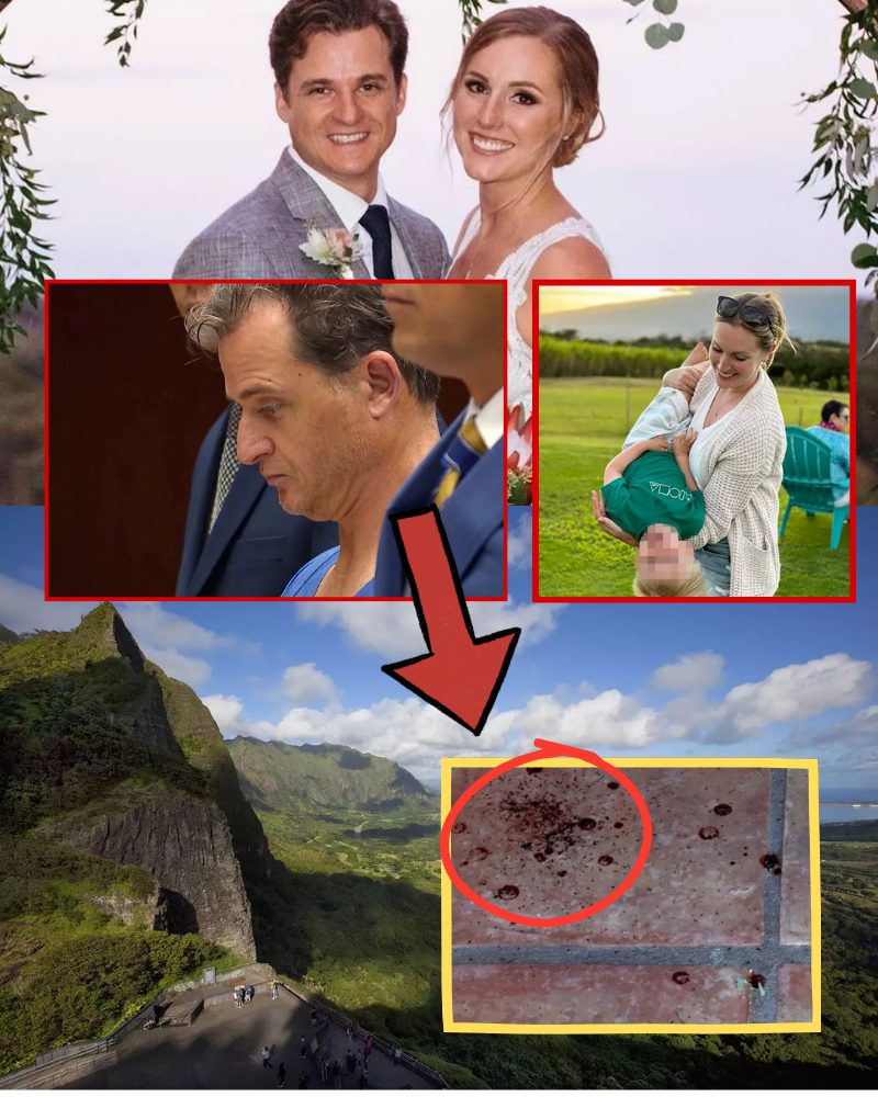 5 MINUTES AGO: Latest testimony from Hawaiian doctor Gerhardt Konig, admitting to having an affair with his wife at the cliff. His five-word explanation sparks outrage…