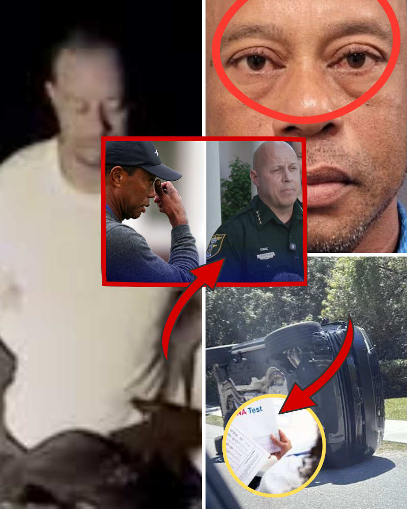 LATEST: FORENSIC ANALYSIS RESULTS ARE AVAILABLE FOR THE PILLS FOUND IN TIGER WOODS’ CAR AT THE ACCIDENT SCENE. AND HERE’S HOW THE CASE CHANGED….