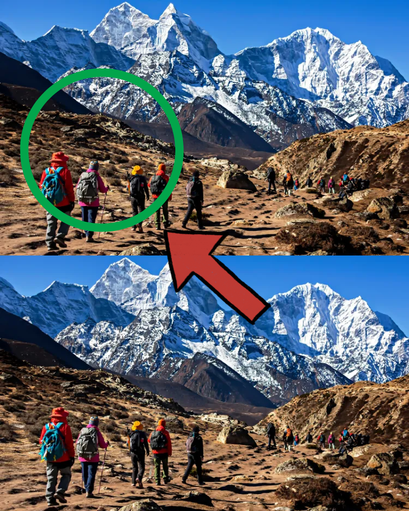 BREAKING NEWS: Mount Everest, police reveal cli..mbers may have been attacked by their own guide, triggering a series of helicopter rescues — all part of a $20 million insurance fraud scandal that has sh0cked the public…MORE THAN ONE BODY FOUND AT THE SCENE…