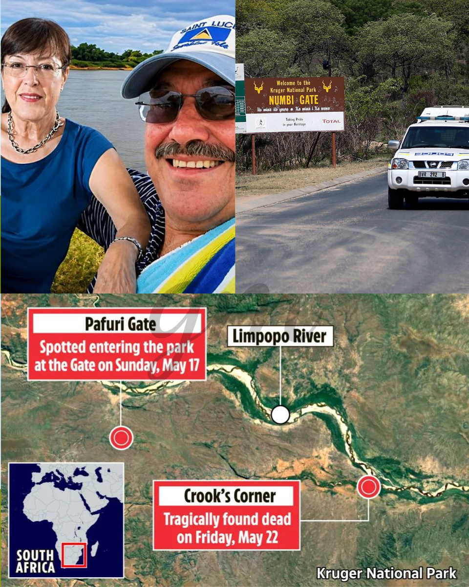 🏡 THE HOEDSPRUIT CONNECTION: Why Ernst & Dina Weren’t Your Average Victims.