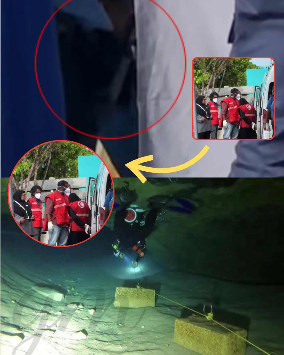 SHOCKING TWIST: Massive Offshore Crypto Payment Traced to Arrested Crew Just Before the Plunge