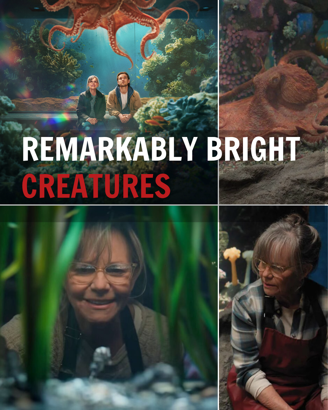 Remarkably Bright Creatures review: Sally Field forms an unforgettable bond with an octopus in Netflix’s gentle, heartwarming gem
