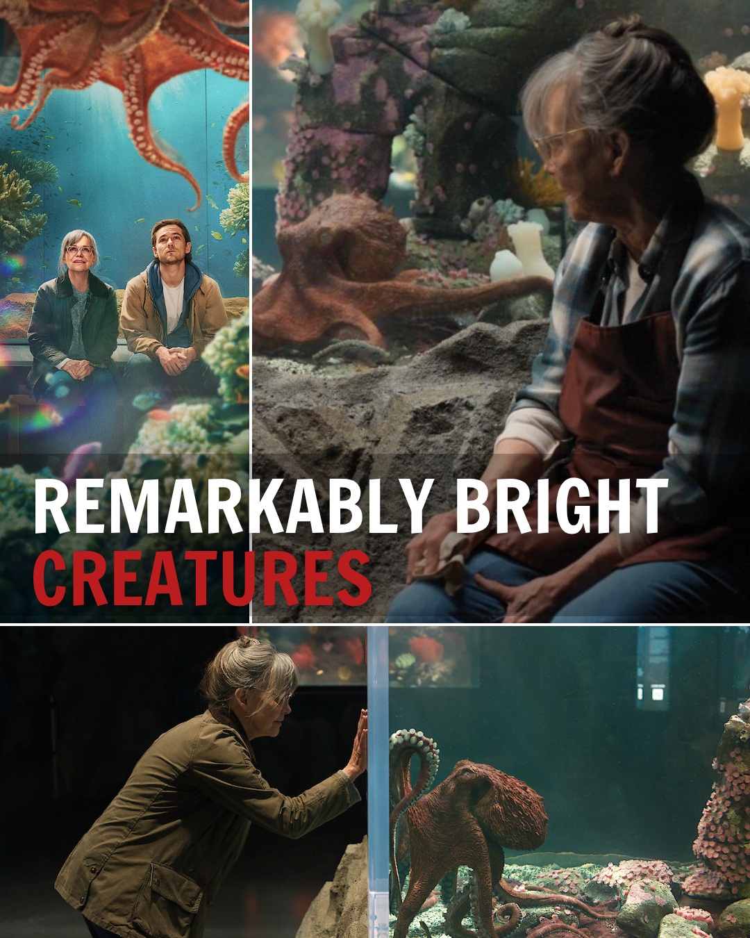 THE INTERNET IS ABSOLUTELY DIVIDED: NETFLIX’S UNEXPECTED NEW HIT IS CAUSING A MASSIVE MELTDOWN OVER ONE SCENE!