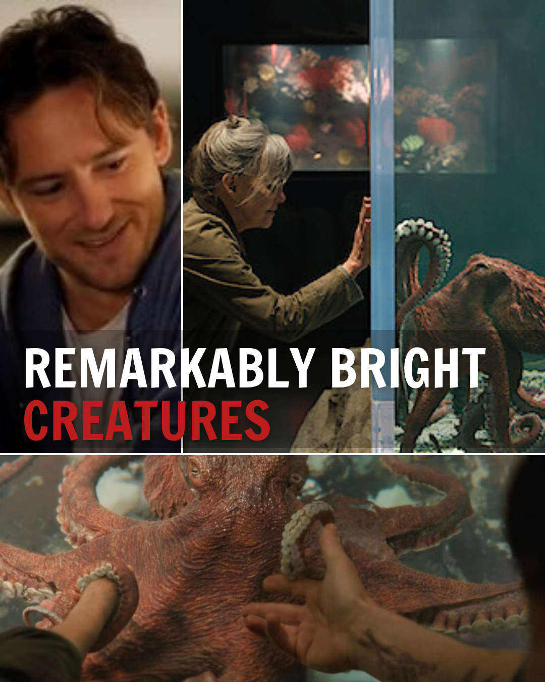 ‘Remarkably Bright Creatures’ Review: Sally Field and Lewis Pullman Help Each Other Heal in a Melodrama of Distinctly Average Intelligence