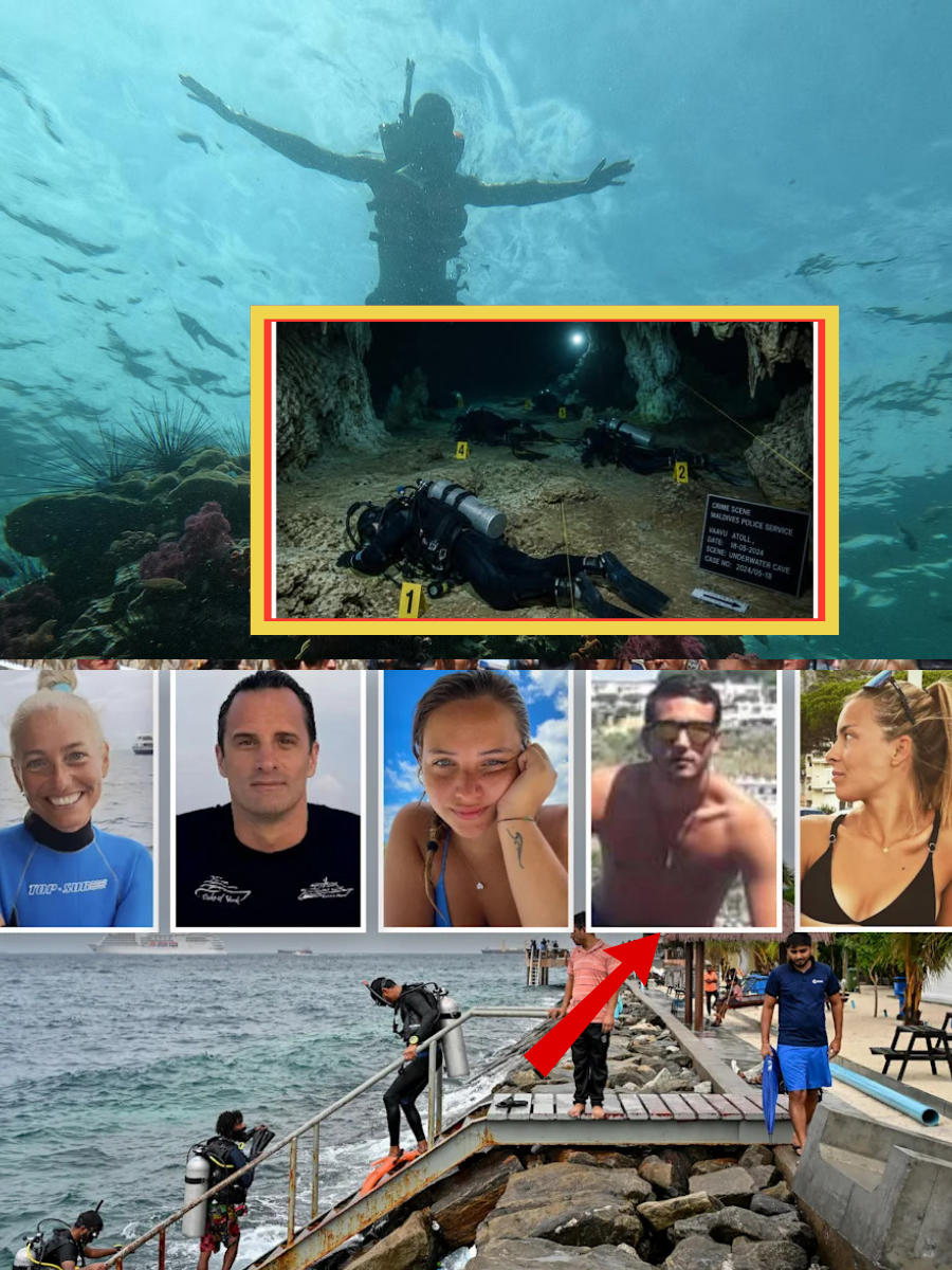 EIGHT WORDS BEFORE THE SILENCE UNDERWATER: Minutes before the fatal dive in the Maldives, one diver reportedly sent a final message to family that is now haunting everyone who reads it… 👇