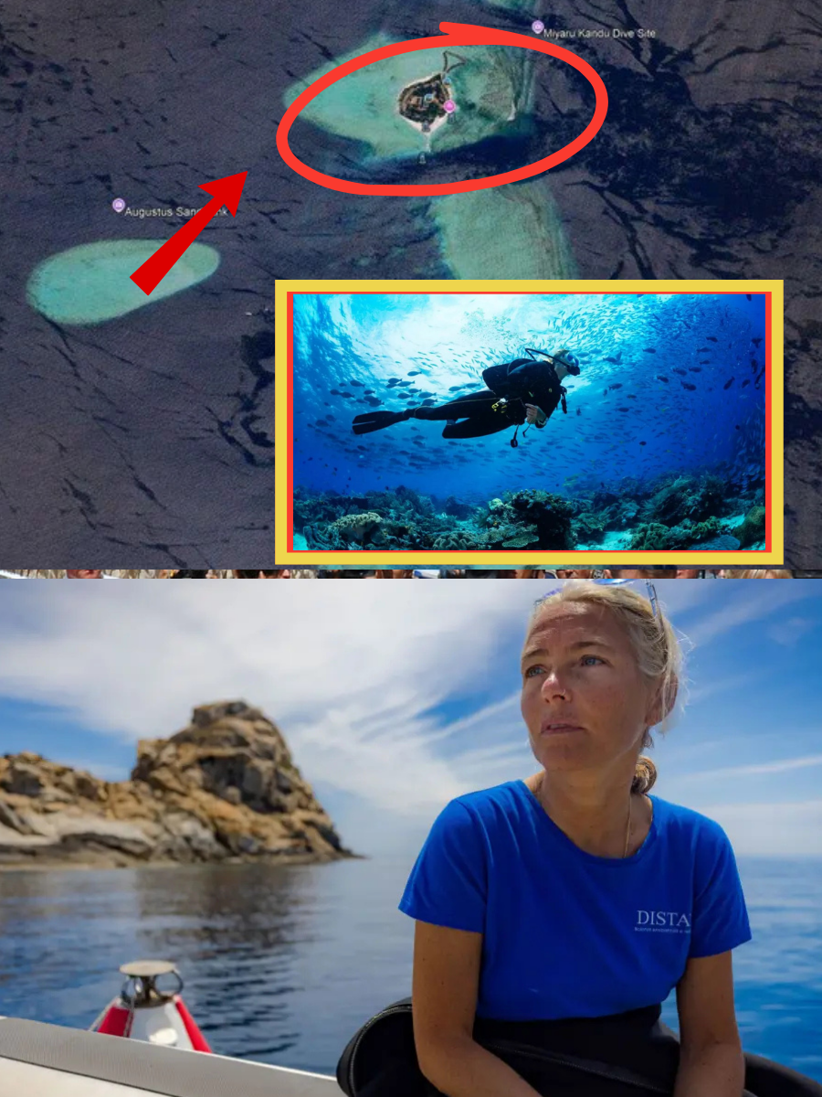 THE LIE OF THE ONLY SURVIVER: Maldivian police have just seized a second GoPro from a survivor’s cabin. SHE FILMED 4 VICTIMS DIVING BEFORE THEY DIED, A SHOCKING DETAIL FOR THE POLICE INVESTIGATION… ๐๐