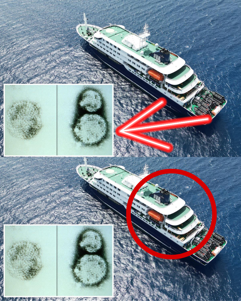 The two possible causes for the cruise ship hantavirus outbreak — one is disgusting, and the other is terrifying…