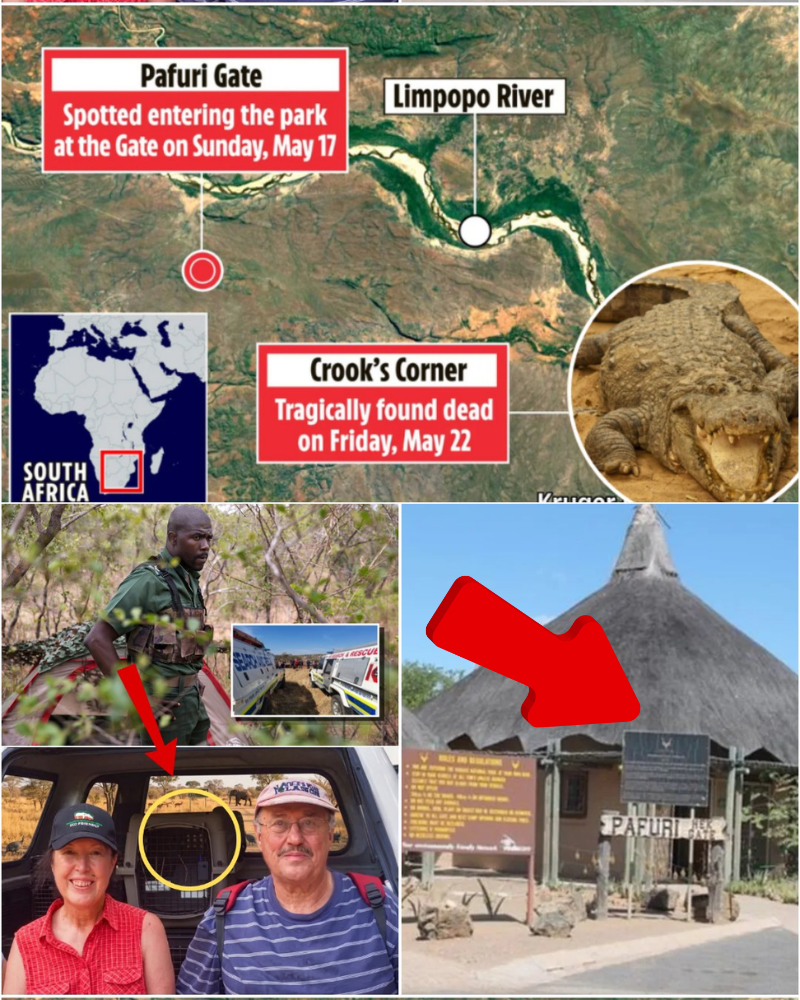 “The tourist couple may have witnessed something they shouldn’t have seen in the middle of a nature reserve — a new theory that takes the case in a different direction.”