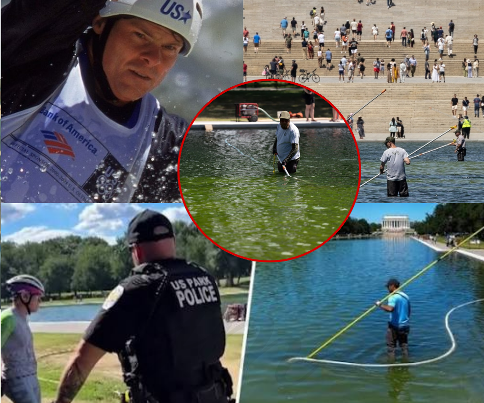 The $14 Million Failure: Why the Administration is Pointing Fingers Instead of Fixing the Pool