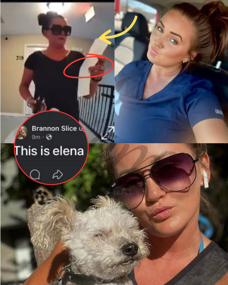 She wasn’t all there: Witnesses to the Elena Moore incident reveal a side of her the family isn’t showing.