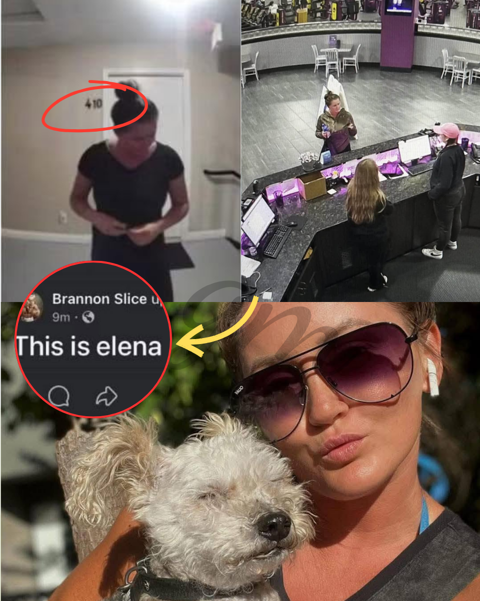 THE ELENA MOORE FILES: Untold surveillance footage reveals her final, chilling moments before the Lexington vanishing.