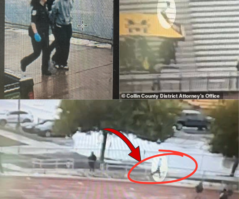 Irrefutable Evidence? The Shocking Slow-Mo Stabbing Video Turning the Anthony Appeal Upside Down