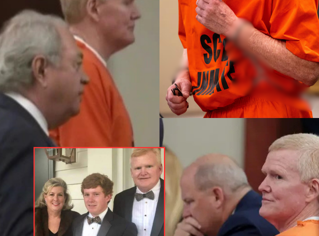 Unexpected Turn: Alex Murdaugh is heading back to court, but his family’s strange behavior is stealing the spotlight