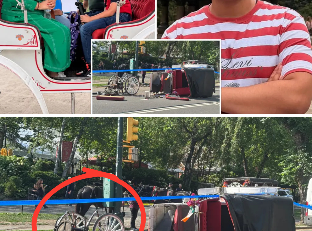Heartbreaking Final Moments: Teen Tourist Dies After Heroic Attempt to Protect His Mother as Terrifying Central Park Incident Unfolds on Camera.