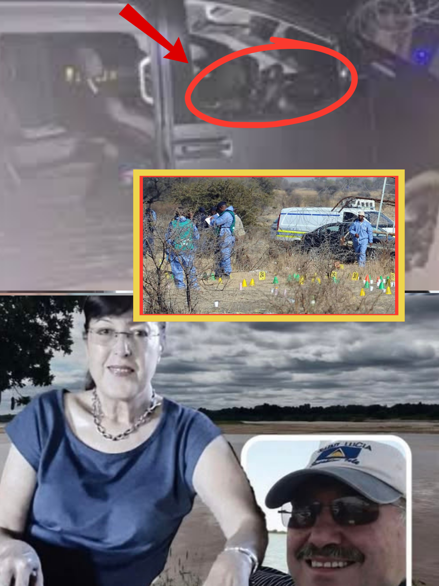 โI SAW THE FORD BEFORE DARKโ: A shaken visitorโs dashcam near Pafuri may have captured the Marais vehicle hours before the bodies were found โ but who was moving with it? ๐๐
