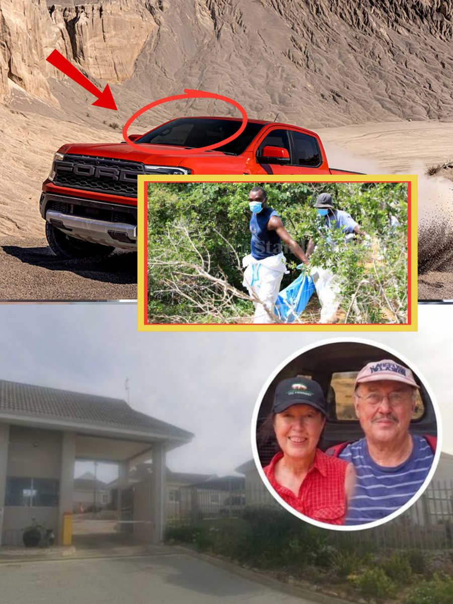 THE LOOK BACK THAT HAUNTS PAFURI: Before leaving with Ernst, Dina Marais reportedly glanced twice toward the tree line โ as if she already sensed someone watchingโฆ ๐๐