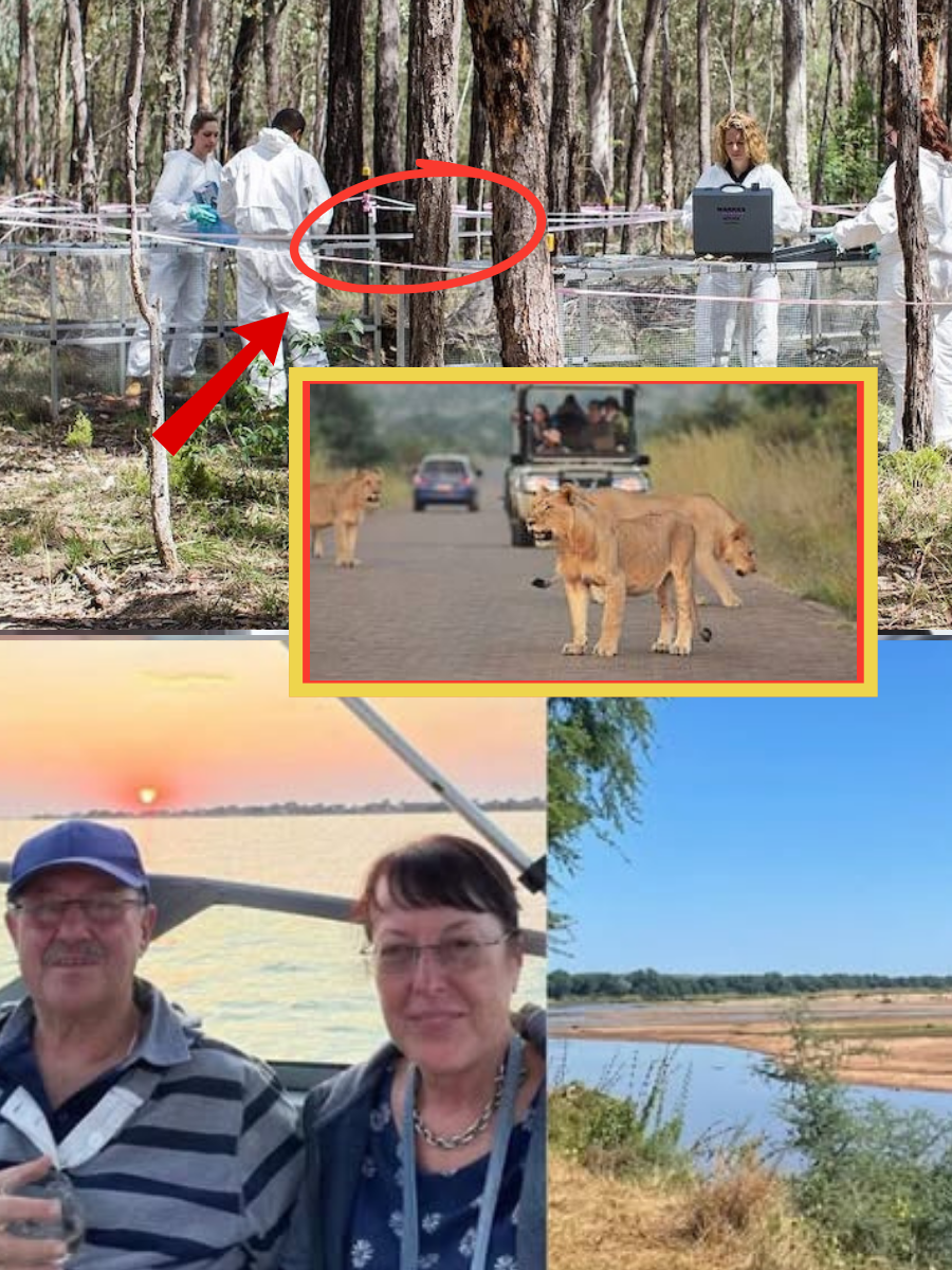 THE SCENT ENDED AT THE WATER: Search dogs reportedly lost Ernst and Dina’s trail near the river’s edge, but investigators now believe that exact spot may be the biggest clue… 👇👇