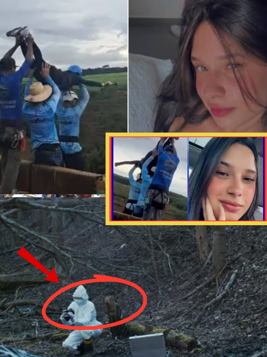 THE QUESTION SHOCKING EVERYONE: Were the suspects paid to target Maria Eduarda Rodrigues de Freitas? A new police statement is raising disturbing questions about motive, money, and who benefited most…