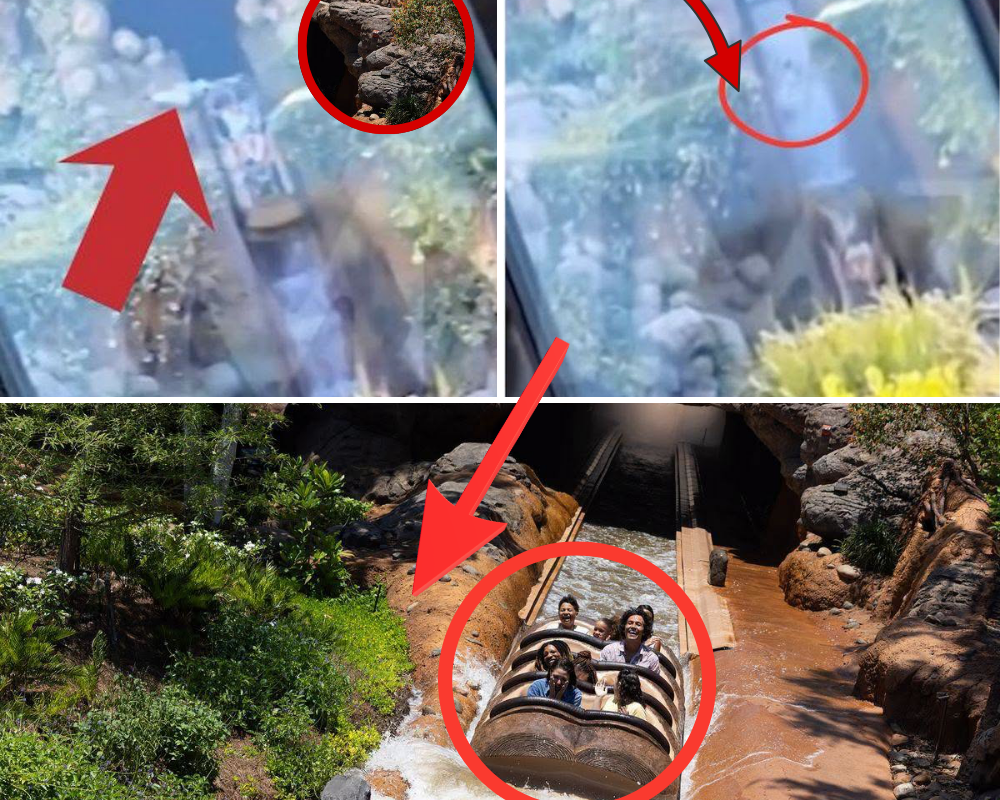 A 13-year-old boy caused a shock when he climbed out of a moving ride on Tiana’s Bayou Adventure and slid down a steep slope of approximately 15 meters. Authorities inspected the scene and discovered a shocking truth…