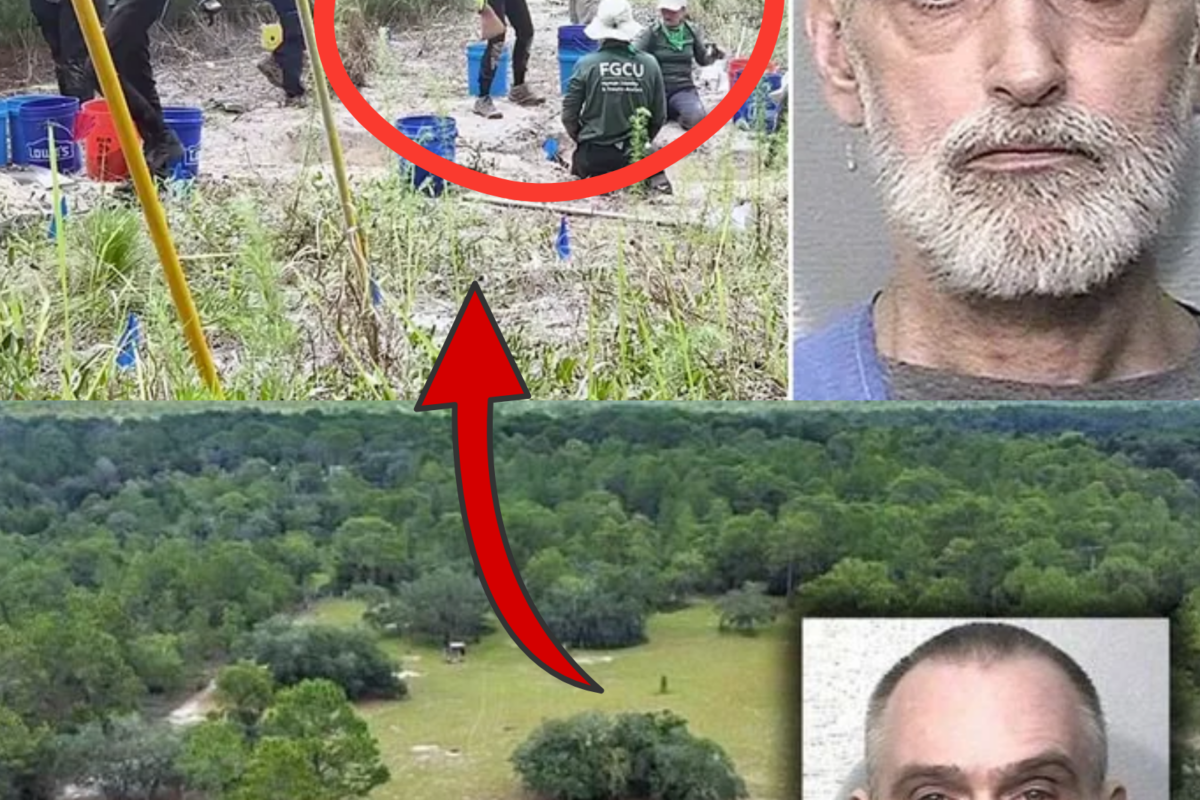 Florida Serial Murder Investigation Suddenly Reignited as Authorities Continue Searching for Additional Victims Following the Discovery of a 6-Minute Surveillance Video