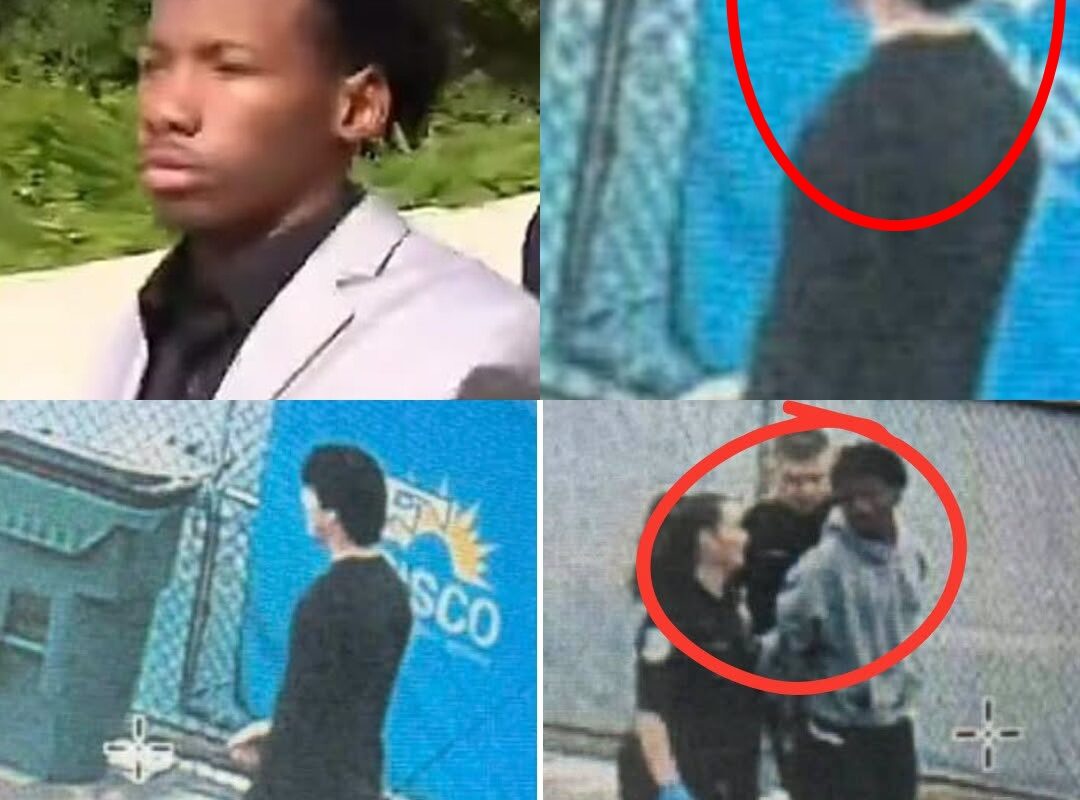 The chaotic and agonizing moments following the knife attack on Austin Metcalf have been recreated in newly released 911 footage