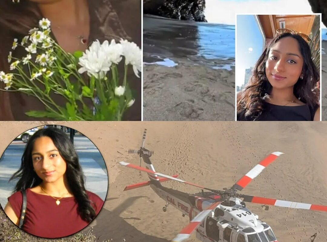 The Santa Cruz tragedy claimed the lives of two young girls just before the dawn of their lives. The incident took an unexpected turn when a witness spoke out, challenging everything the public had believed about the moment the waves struck