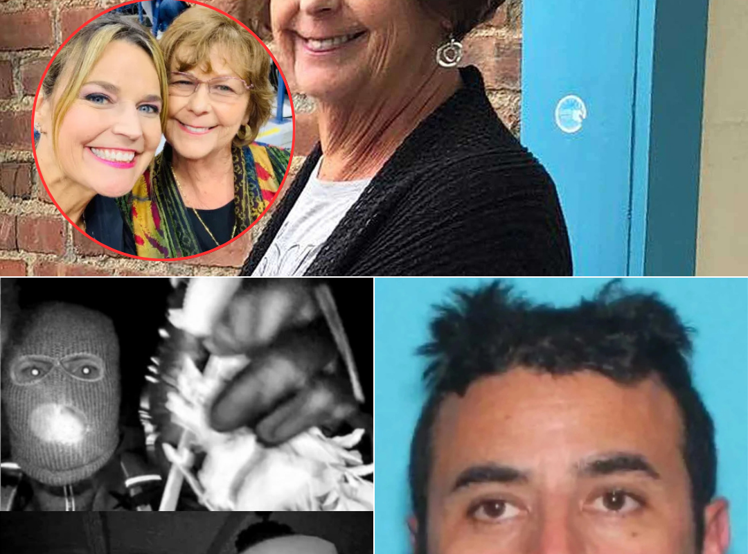 Full Confession: The complete two-hour testimony from the California man who admitted sending fake Nancy Guthrie ransom letters reveals what he claims is her current location