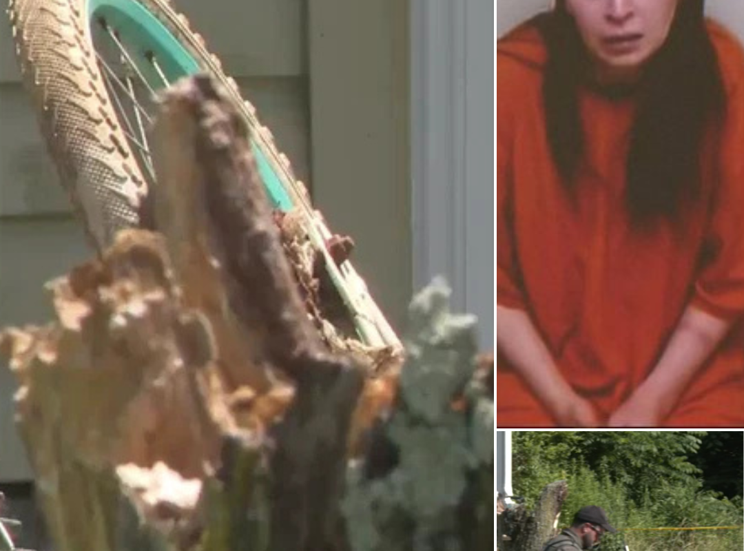 Haunting Revelation: New details reveal Elizabeth Siders’ alleged role during nearly a decade inside the infamous Ohio horror house with her family