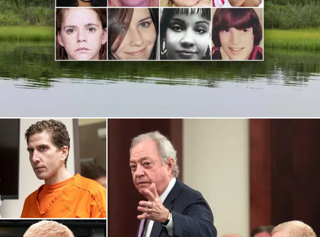 Legal Move: Alex Murdaugh is asking the top DNA team from the Kohberger case to rewrite his murder conviction for one extraordinary reason