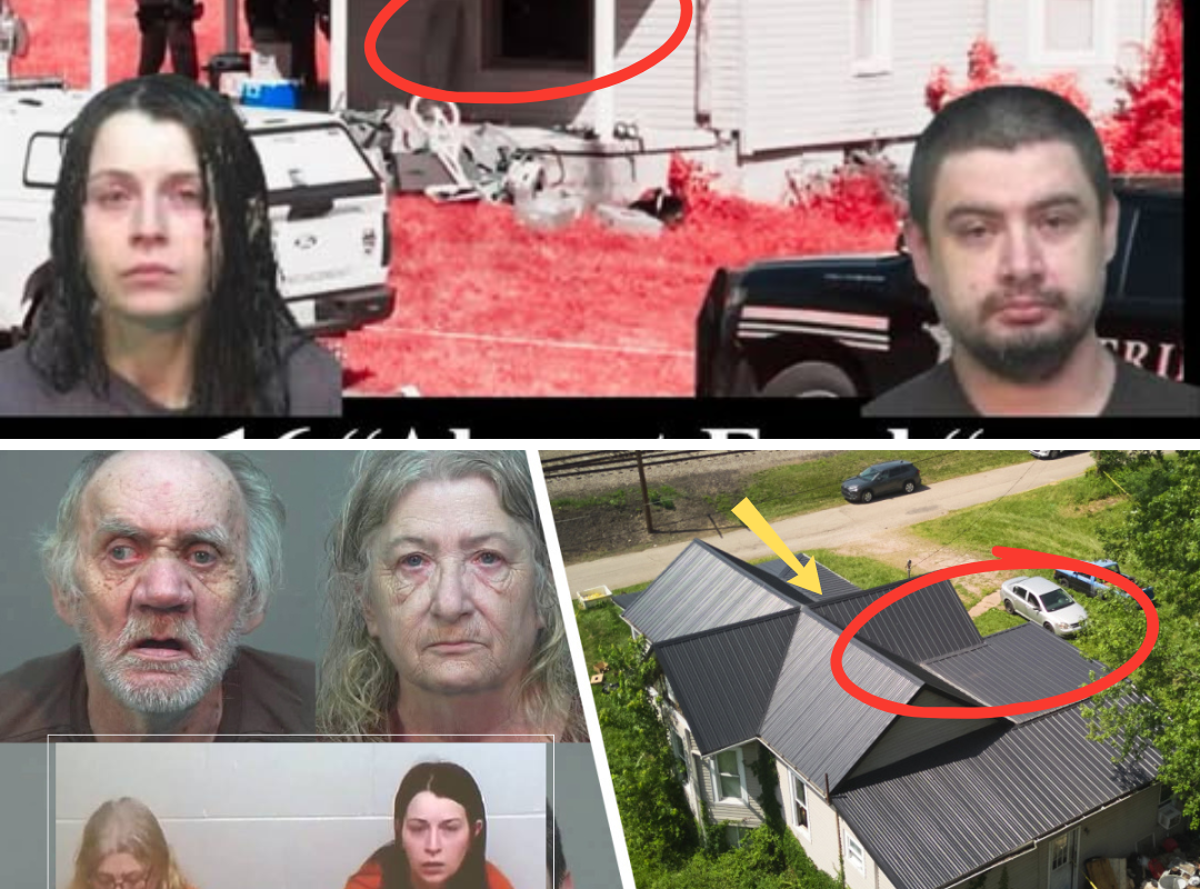 THE ADULTS ARE NOW SPEAKING: New testimony in the Elizabeth Siders case is giving investigators additional insight into the living conditions inside the house and who made key decisions… 👇