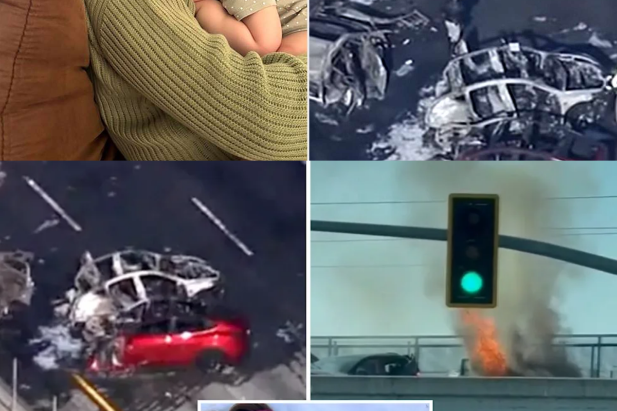 A Silicon Valley Man Has Been Charged After Allegedly Crashing His Tesla Into a Mother and Her Young Child, Leaving Them Trapped in a Fiery Crash That Killed Them—Prosecutors Say Dashcam Footage Captured Everything