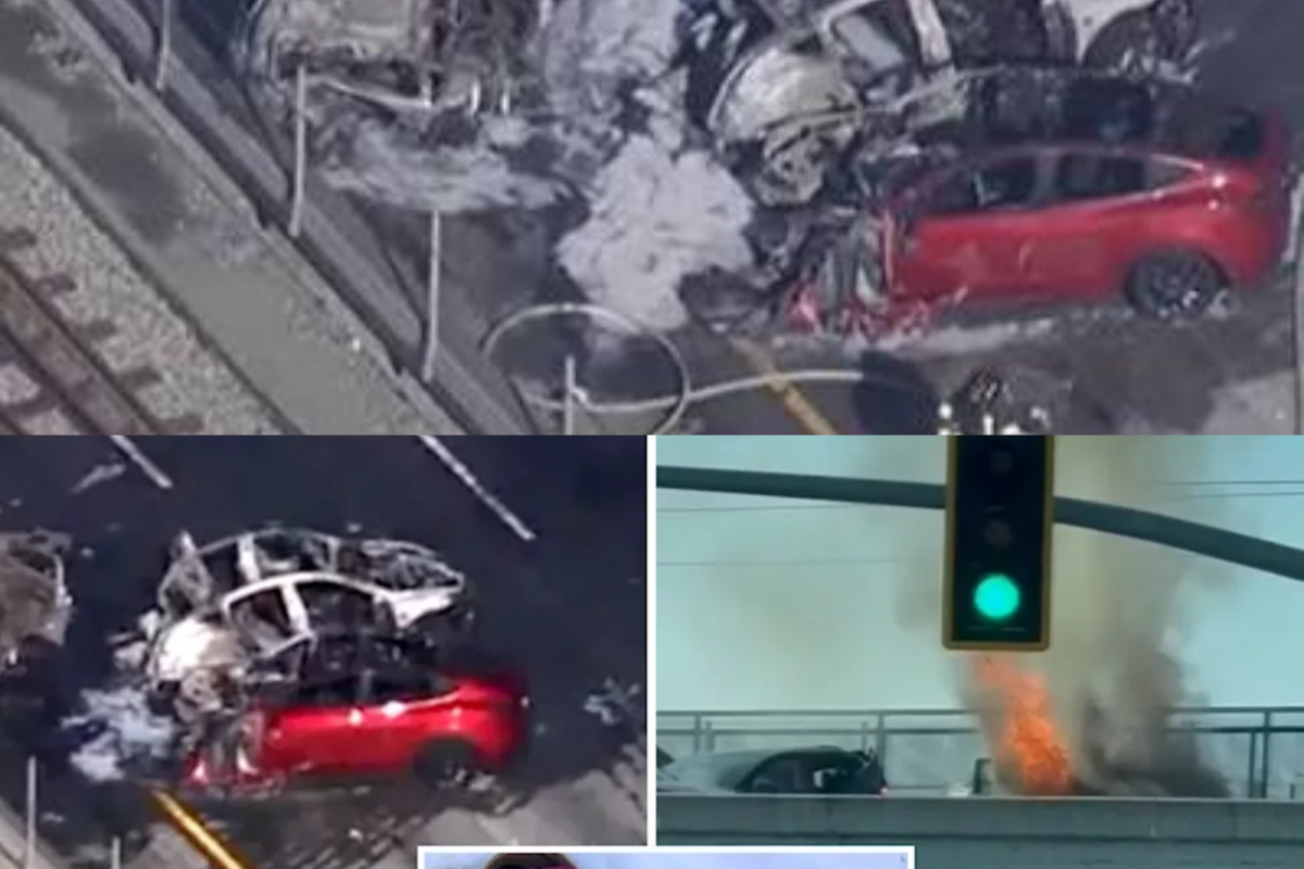 Silicon Valley CEO Arrested After Horrific 260 MPH Crash Killed Mother and Daughter — While the Father Was Seen Trying to Save Them From the Flames.