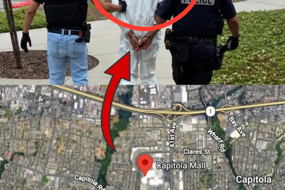 A Beloved Artist Was Fatally Stabbed in an Apparently Random Daylight Attack in a Coastal Town. Police Have Arrested a 19-Year-Old Suspect and Obtained Surveillance Footage Capturing the Entire Incident