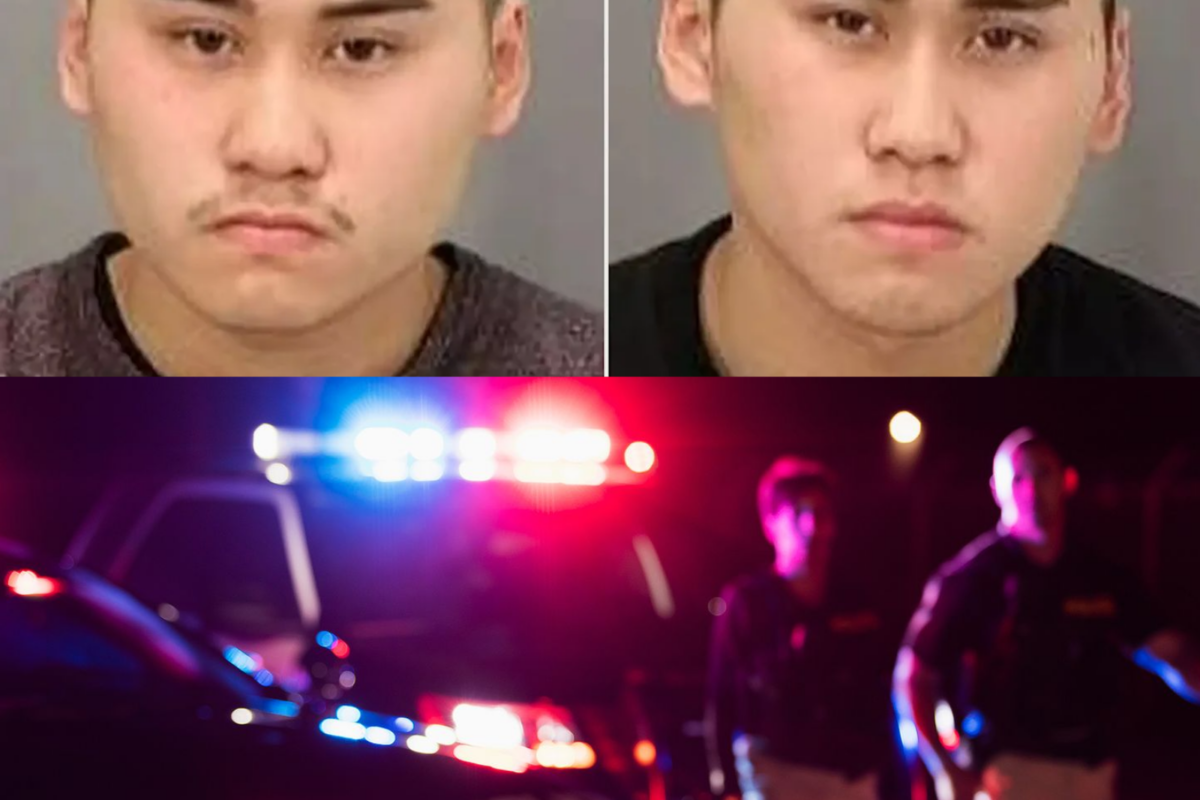 Twin brothers were once suspects in the murder of a college student. One of them later confessed on behalf of the other — has the truth behind it finally been revealed?