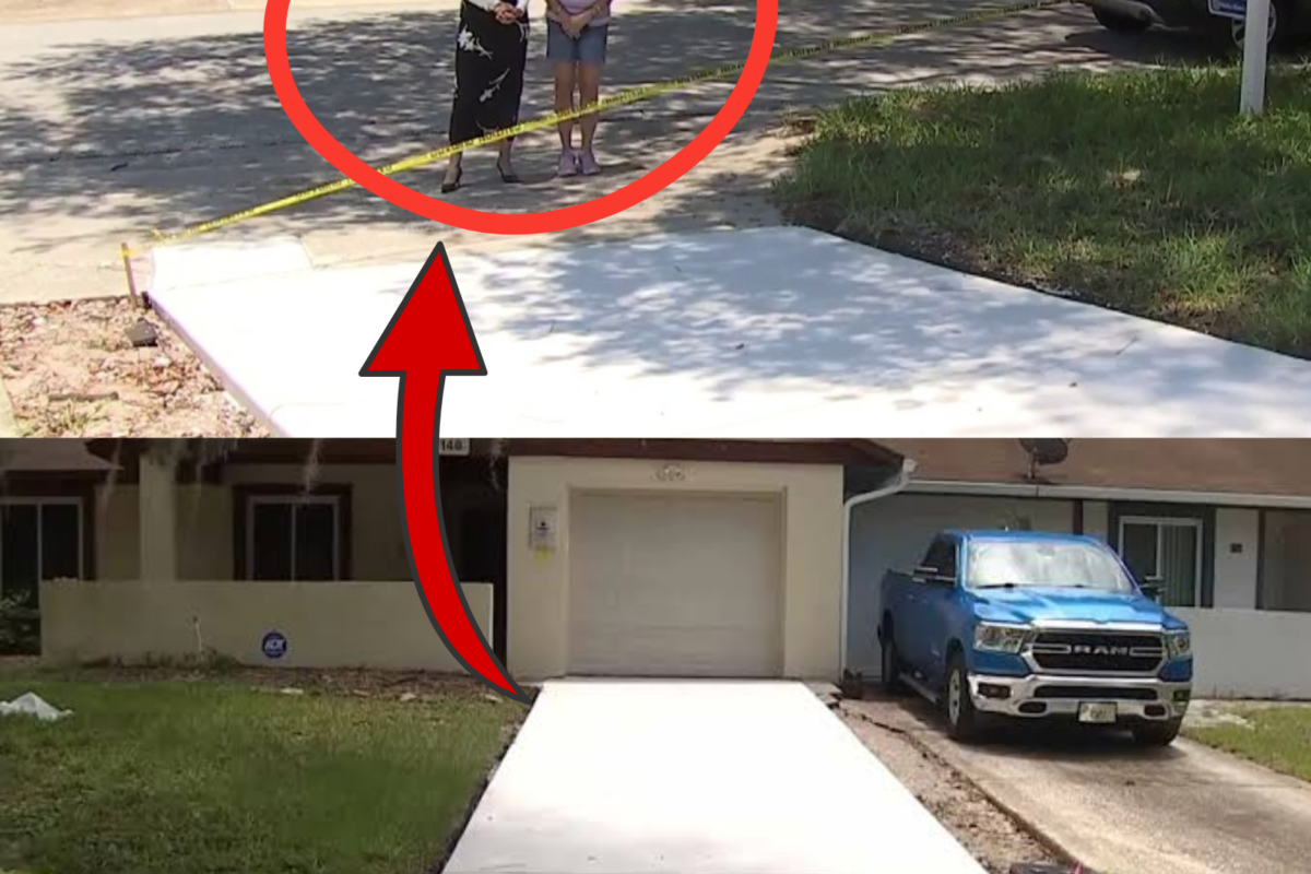 BREAKING: Florida Woman Left Stunned After Returning to a Destroyed Driveway, Suspected Nigeria-Linked Scam Emerges Following Disturbing Security Camera Footage