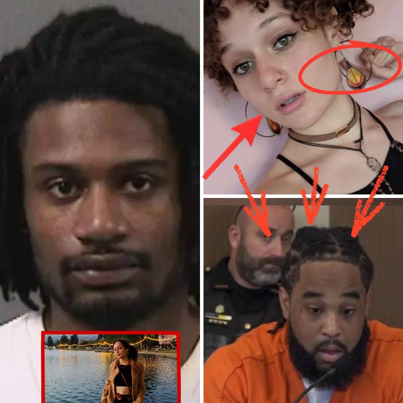 The investigation into the case of artist Victor Friesonb in California has reached a conclusion: Everything is beyond imagination…